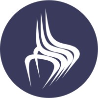 Virtual Staging Solutions Logo