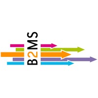 B2MS GmbH Logo