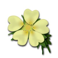 Home & Hearth Caregivers Logo
