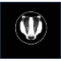BadgerAnd Logo