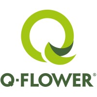 Q-Flower GmbH & Co. KG Logo