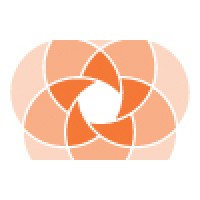 The Delve Group Logo