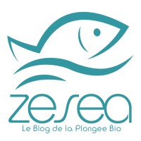Entreprise personnelle Anthony Leydet Logo