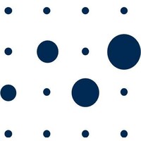 VolkswagenStiftung Logo
