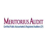 Meritorius Audit Ltd Logo