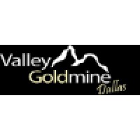 Dallas Valley Goldmine Logo