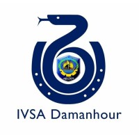 IVSA Damanhour Logo