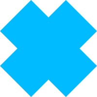 100x100net Logo