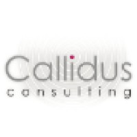 Callidus Consulting Ltd Logo