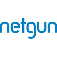 Netgun Solutions Logo