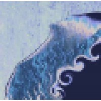 Aqualash Music Logo