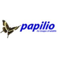 Papilio Logo