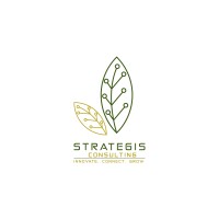 Strategis Consulting Logo