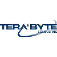 Terabyte Consulting Logo
