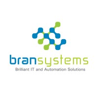 Bran Systems Logo