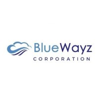 BlueWayz Corporation Logo
