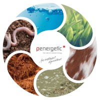 Penergetic International AG Logo
