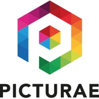 Picturae Logo