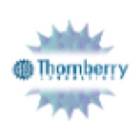 Thornberry Consulting, LLC, SDVOSB Logo