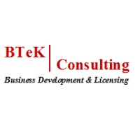 BTeK Consulting Logo
