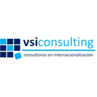 VSI Consulting Logo