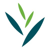 Dubai Herbal & Treatment Centre Logo