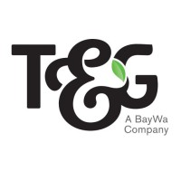 T&G Global Limited Logo