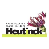 Vaste Planten Kwekerij Heutinck Logo