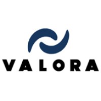 Valora Consultoria SAS Logo