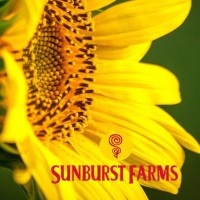 Sunburst Farms Logo