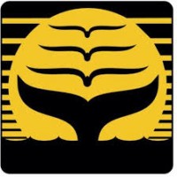 Downhome Incorporated Logo