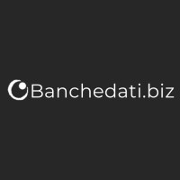 BANCHEDATI.BIZ | GARE & APPALTI Logo