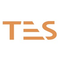 TES 2000 Ltd Logo