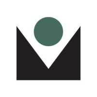MindShare Strategies, Inc. Logo