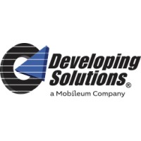 Developing Solutions, Inc. Logo
