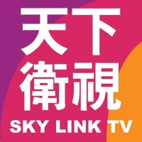 Sky Link TV Logo