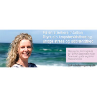 Vibeke Ungstrup Logo