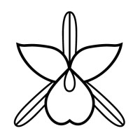 White Orchid Interiors Logo