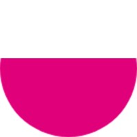 Schein Logo