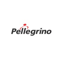 Pellegrino Distribuidora de Autopeças Ltda Logo