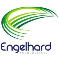 Engelhard Logo