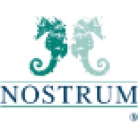 NOSTRUM Advisors Logo