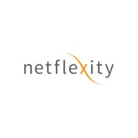 Netflexity Logo