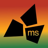 ms consultants, inc. Logo