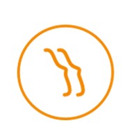 Ange Optimization Logo