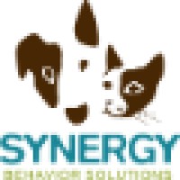 Synergy Behavior Solutions Logo