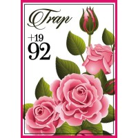 TRAP Skateboards Logo