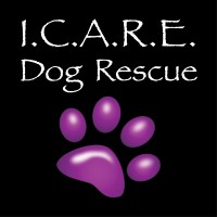 I.C.A.R.E. Dog Rescue Logo