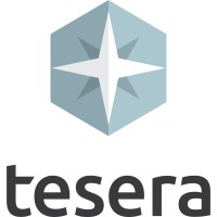 Tesera Systems Inc. Logo