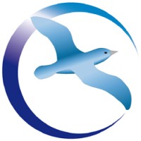 Collmann Consilio GmbH Logo